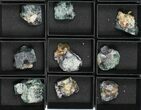Mineral Flat: Fluorescent Rogerley Fluorite - Pieces #97125-1